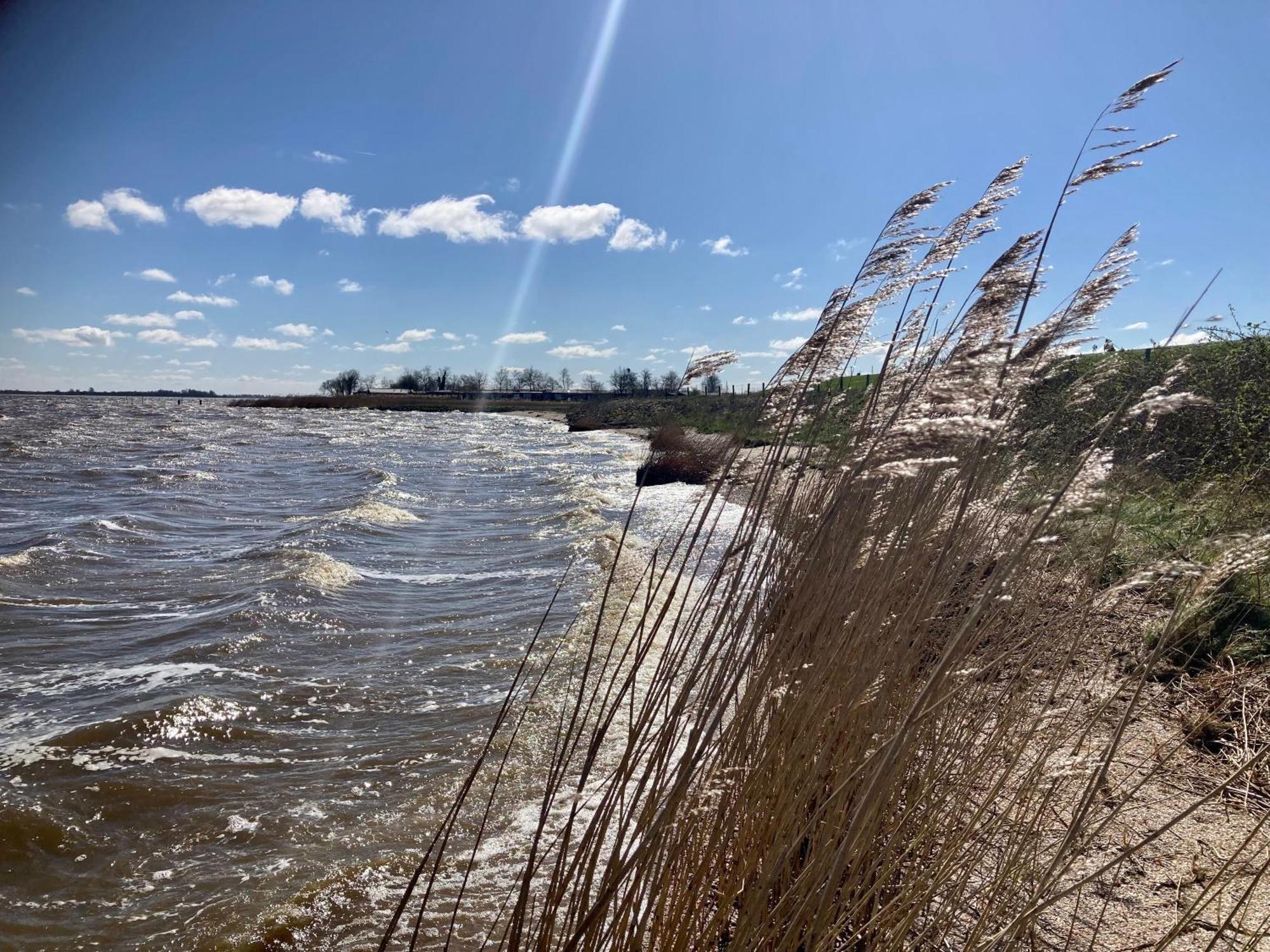 Haus Gaby Direkt Am Lauwersmeer Anjum Екстериор снимка